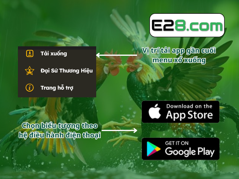 Tải App E28